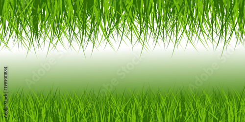 Green Grass Border Vector with Lawn, Meadow and Natural Garden Landscape Elements