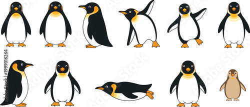 Cute penguin collection cartoon arctic birds set vector illustration adorable winter wildlife characters for kids and nature design