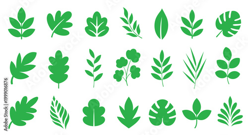 Simple clean variety leave illustration design