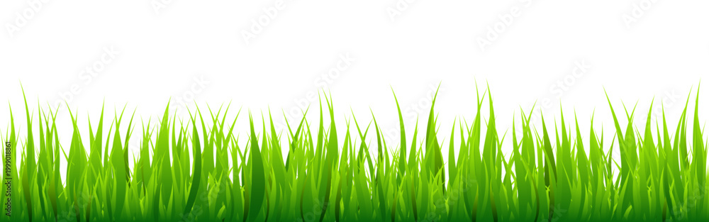 Fototapeta premium Meadow silhouette with green grass, plants on plain. Panoramic summer lawn landscape with herbs, various weeds. Herbal border, frame element. Black horizontal banners. Vector illustration