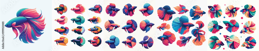 Fototapeta premium Betta Fish Vector Illustration
