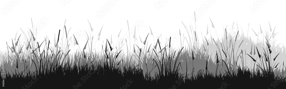 Fototapeta premium Meadow silhouette with grass, plants on plain. Panoramic summer lawn landscape with herbs, various weeds. Herbal border, frame element. Black horizontal banners. Vector illustration