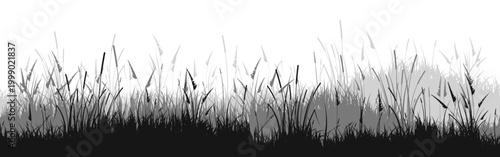 Meadow silhouette with grass, plants on plain. Panoramic summer lawn landscape with herbs, various weeds. Herbal border, frame element. Black horizontal banners. Vector illustration