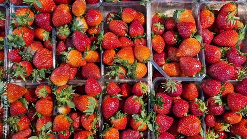 Fresh ripe strawberries in transparent plastic containers. Juicy red berries, top view. Farm strawberry harvest at the market. Bright red berries in packaging, ready for sale. Healthy eating concept