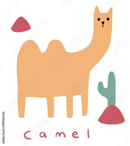 Camel in the desert