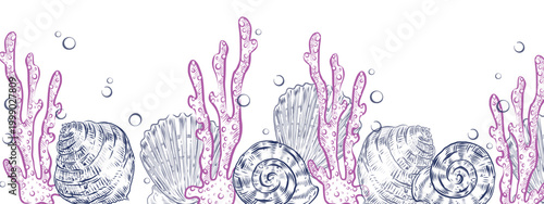 A seamless border in a nautical style with corals and shells. All objects are hand-drawn with ink. This illustration with water bubbles is perfect for summer holiday designs, prints on fabric, paper.