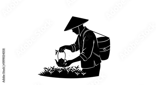 Silhouette of a traditional tea farmer picking leaves in a plantation
