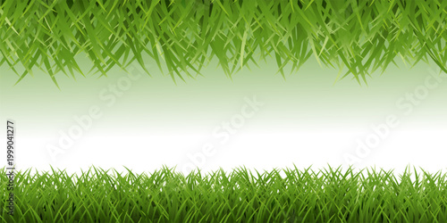 Green Grass Border Vector with Lawn, Meadow and Natural Garden Landscape Elements