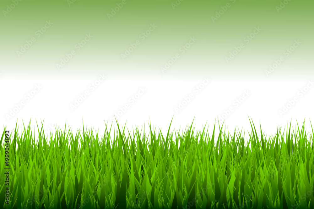 Fototapeta premium Green Grass Border Vector with Lawn, Meadow and Natural Garden Landscape Elements