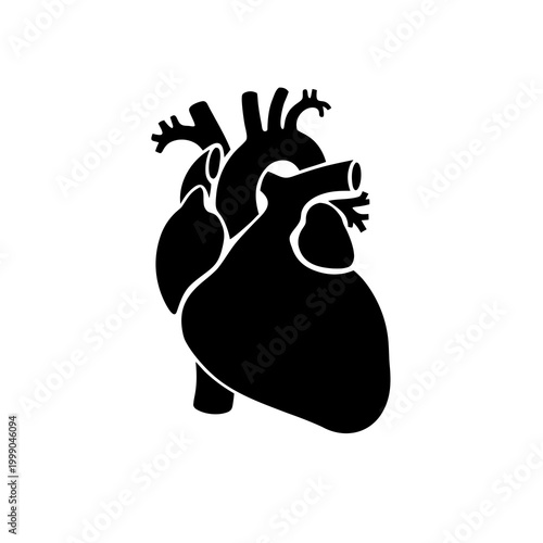 Anatomical human heart vector icon, black silhouette of medical organ, realistic cardiac system illustration for healthcare and biology education