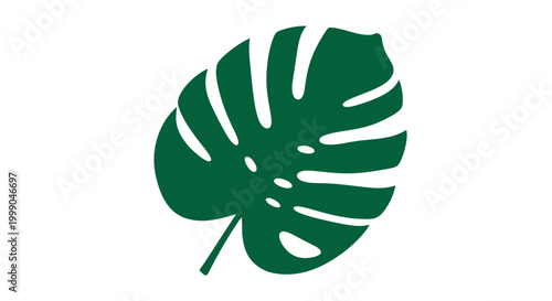 Vibrant green Monstera deliciosa leaf vector graphic, capturing tropical plant beauty and natural design elements for botanical themes and modern aesthetics