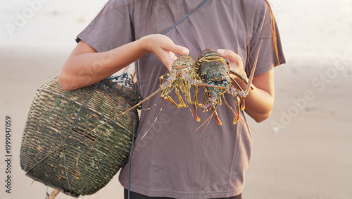Tableau sur toile spiny lobsters caught at sea, close-up