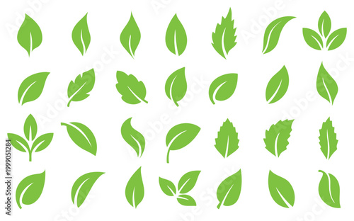 Clean minimalist leaf icon set design