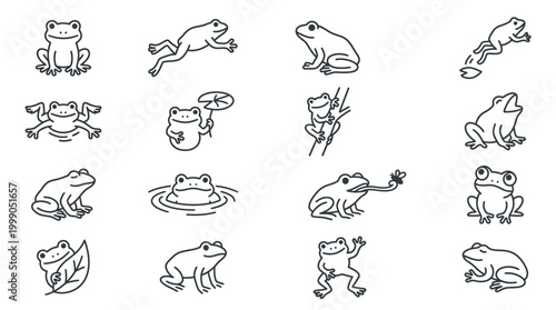 Collection of various frog illustrations.