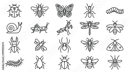 Insects and Bugs Line Drawings Collection.