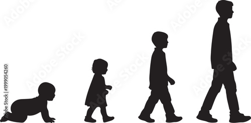 Silhouettes illustrating the stages of human growth from infancy crawling to adulthood walking, representing life cycle and development.