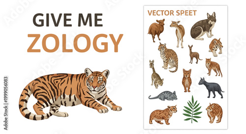 Tiger stands as a majestic representative of the wild feline predator.