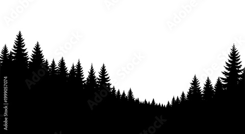 Pine Forest Silhouette Background with Spruce Trees
