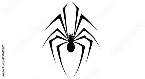 Black spider silhouette vector illustration isolated on white background.