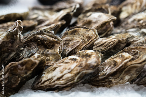 Frische Austern auf Eis – Nahaufnahme von Meeresfrüchten auf dem Markt