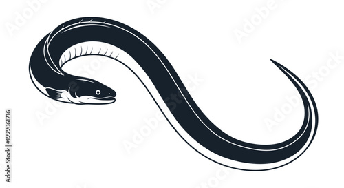 Eel fish silhouette icon isolated on white background.