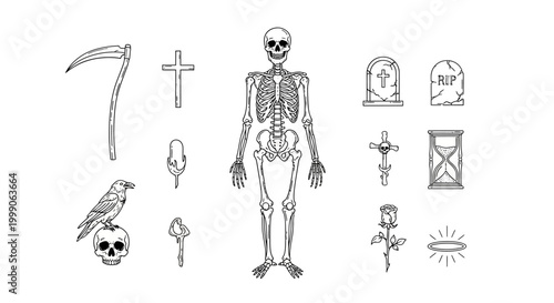 Skeleton collection shows various grim symbols related to death and decay.