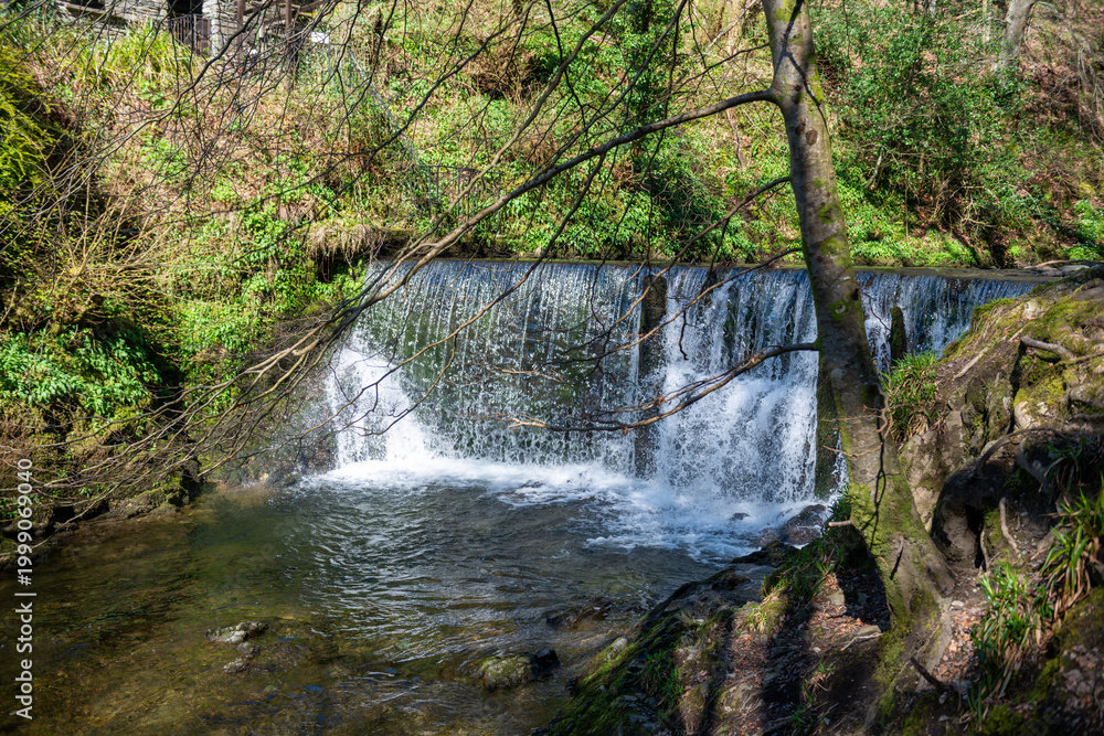 Fototapeta premium Waterfall in the forest on a hill