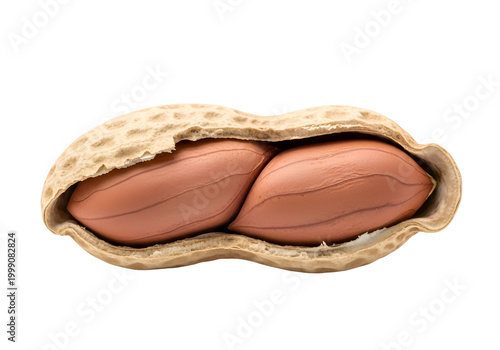 Open Peanut Shell with Two Raw Peanuts Isolated on white background , Isolated on Transparent Background, PNG, Generative AI 