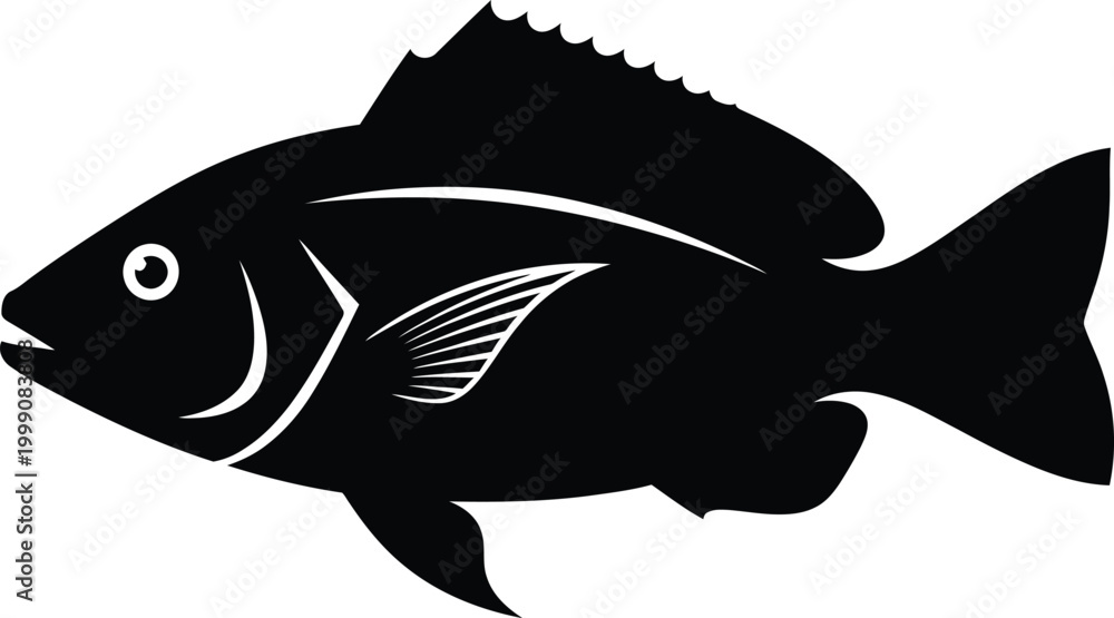 Fototapeta premium Black fish silhouette with detailed fins