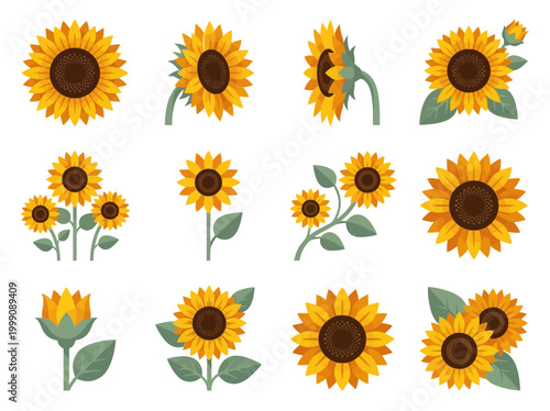 Sunflower Vector Icon Set - Collection of Stylized Yellow Floral Elements with Leaves and Stems on White Background for Summer and Autumn Design Projects