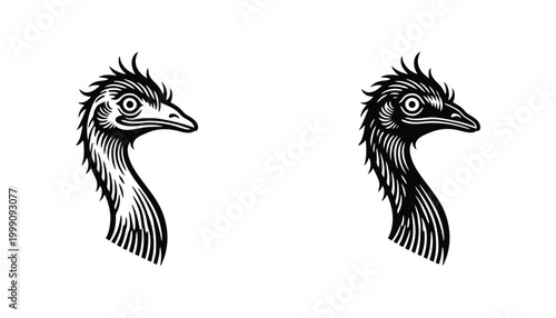 Emu bird head profile illustration in detailed black and white graphic style for nature and wildlife design projects
