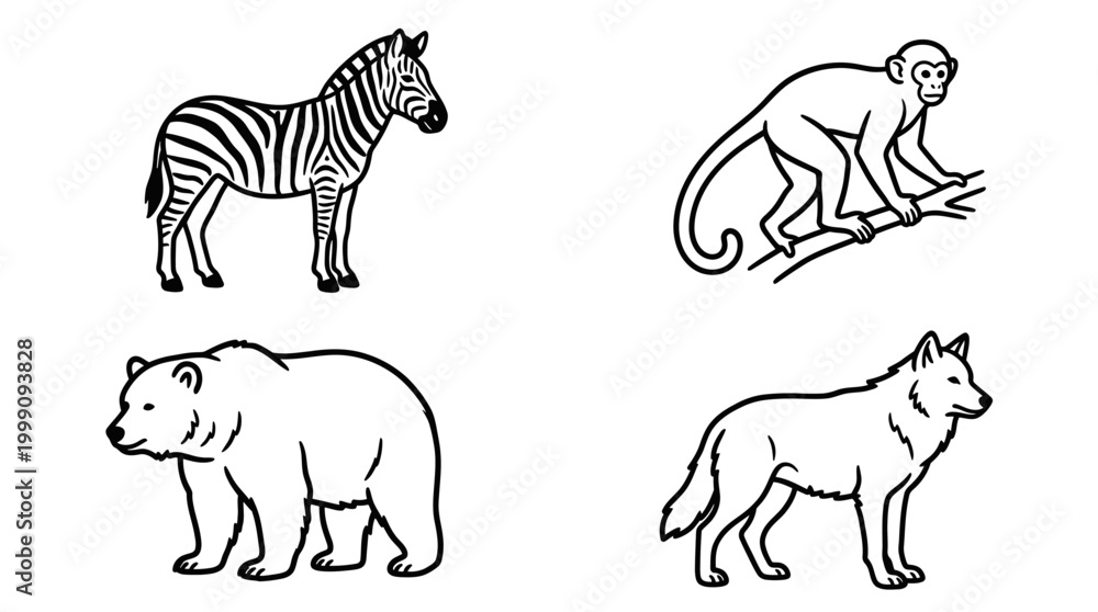 Fototapeta premium Wildlife animals zebra monkey bear wolf black and white vector illustration