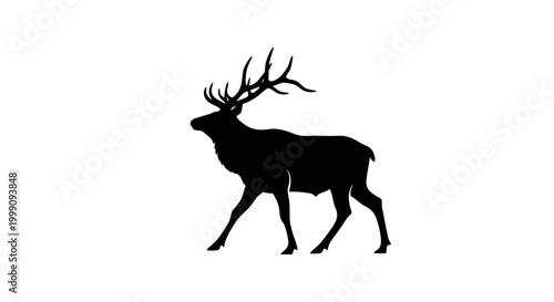 Majestic Stag Silhouette on White Background - Elegant Wildlife