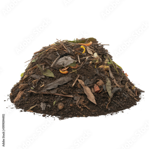 A pile of dark brown garden compost including soil, dried leaves, and vegetable scraps on a white background