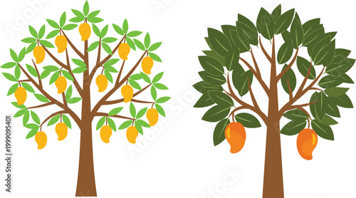 Mango trees with ripe fruits and green leaves vector illustration tropical fruit plant nature agriculture garden design set