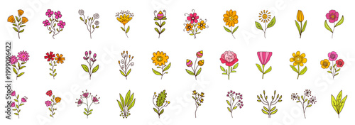 lovely set of hand drawn flowers and leaves for decoration