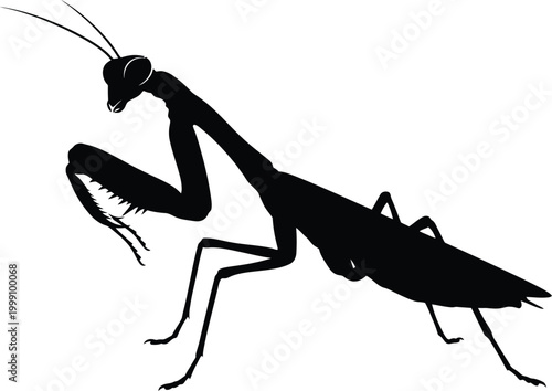 Black and white illustration of a praying mantis in a dynamic pose with detailed insect anatomy editable vector silhouette