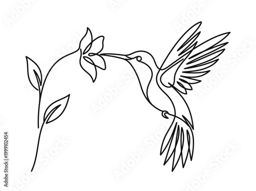 Minimalist Continuous Line Art of a Hummingbird Feeding on a Flower, Elegant One Line Bird Illustration for Logo and Wall Art