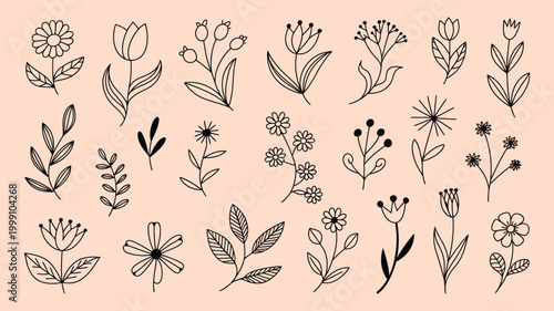 set of hand drawn spring summer flowers, black brush flower silhouettes, wild plants, herbs, and floral elements, monochrome vector botanical illustration, minimalist elegant design for posters.