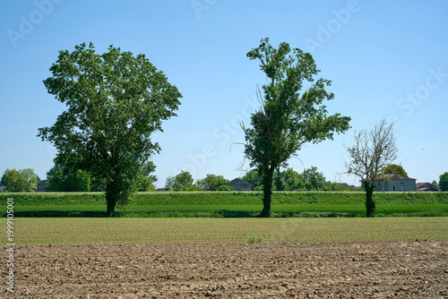 Konstfotografi bassa parmense