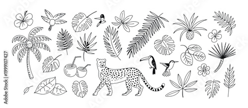 Canvas Print set of tropical leaves, flowers, wild animals and birds in sketch style, hand drawn vector illustration, palm leaves, leopard, banana leaf, hibiscus, parrot, exotic plants, and plumeria, minimalist