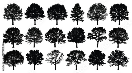 Photos Collection of various deciduous tree silhouettes