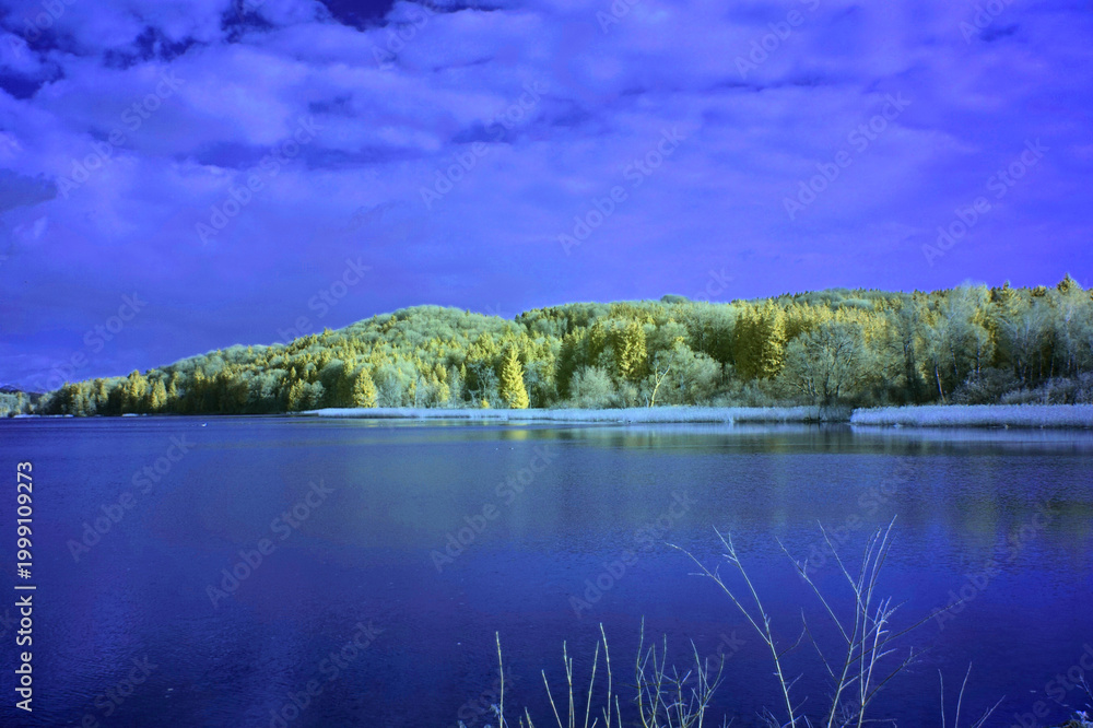 Obraz premium Am Seehamer See