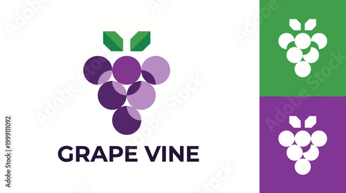 This logo features a modern and geometric grape vine design, emphasizing creativity and elegance, suitable for wineries or organic products branding.