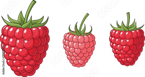Cartoon Raspberry Fruit Set in Three Sizes with Glossy Red Berries and Green Leaves for Food, Nature, and Healthy Diet Designs
