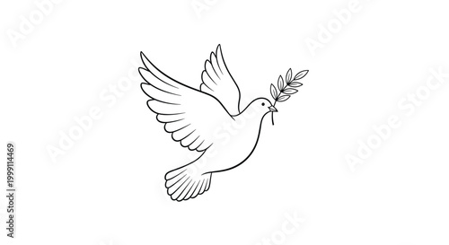 Graceful white dove flies with an olive branch in its beak as a symbol of peace on a plain white background.
