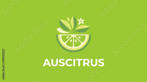 This image showcases a fresh logo design for a citrus brand, combining lime elements with leaves for a natural and vibrant look reflecting health and freshness.