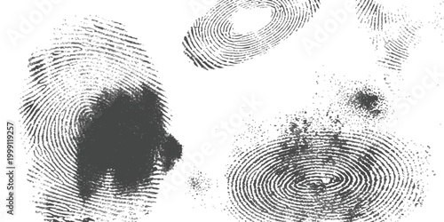 Black fingerprint patterns and circular swirl textures on a flat surface representing biometric identity and security