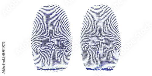 Two detailed black fingerprint patterns for biometric security and digital identity verification