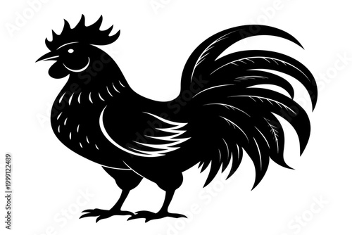 Rooster silhouette vector, Rooster black symbol, chicken vector illustration
